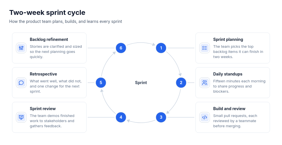 Cycle: numbered ring template preview